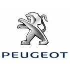 Peugeot. Suspensions, brakes and Chassis Sport. High Performance